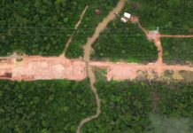 Trump Comments On Multi-Lane Highway Built Overseas